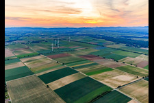 Vue aérienne de Parc éolien Minfeld à Minfeld dans le département Rhénanie-Palatinat, Allemagne