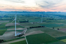 Photographie aérienne de WKA à Freckenfeld dans le département Rhénanie-Palatinat, Allemagne