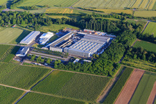 Vue aérienne de K&S Metal and Mechanical Engineering GmbH, KHS GmbH et Helbig & Lang GmbH à le quartier Pfeddersheim in Worms dans le département Rhénanie-Palatinat, Allemagne
