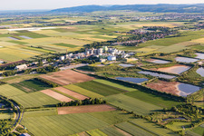 Vue aérienne de Réservoir de traitement des eaux usées pour le traitement des eaux usées de l'usine sucrière Südzucker AG (Palatinat) à Obrigheim dans le département Rhénanie-Palatinat, Allemagne
