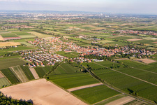 Vue aérienne de Dirmstein dans le département Rhénanie-Palatinat, Allemagne