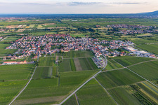 Vue aérienne de Du nord-est à le quartier Niederkirchen in Niederkirchen bei Deidesheim dans le département Rhénanie-Palatinat, Allemagne