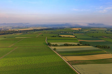 Vue aérienne de Les plaines de Horbach le matin à le quartier Ingenheim in Billigheim-Ingenheim dans le département Rhénanie-Palatinat, Allemagne