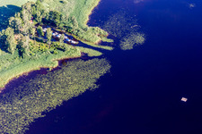 Vue aérienne de Zones riveraines avec nénuphars, amarrage de bateaux et zone de baignade du lac Åsnen (Småland) aux couleurs de lande à Hunna à Grimslöv dans le département Kronobergs län, Suède