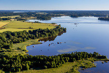Vue aérienne de Zones forestières sur le rivage du lac Åsnen de couleur lande près de Hunna dans le Småland à Grimslöv dans le département Kronobergs län, Suède