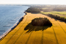 Photographie aérienne de Borre dans le département Sjaelland, Danemark
