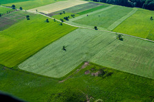 Vue d'oiseau de Weiterswiller dans le département Bas Rhin, France