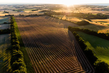Vue aérienne de Borre dans le département Sjaelland, Danemark