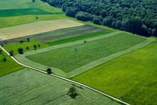 Weiterswiller dans le département Bas Rhin, France vue du ciel
