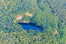 Photographie aérienne de Carrière du lac de basalte Aalter à Wachenheim an der Weinstraße dans le département Rhénanie-Palatinat, Allemagne
