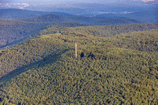 Vue aérienne de Tour Bismarck à Kallstadt dans le département Rhénanie-Palatinat, Allemagne
