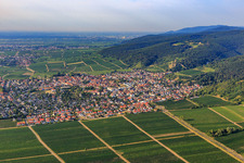 Vue aérienne de Vue de la ville depuis le nord à le quartier Wachenheim in Wachenheim an der Weinstraße dans le département Rhénanie-Palatinat, Allemagne