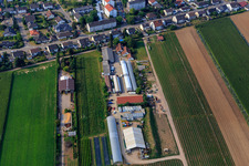 Ferme biologique Kugelmann à Kandel dans le département Rhénanie-Palatinat, Allemagne vue d'en haut