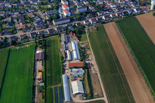 Ferme biologique Kugelmann à Kandel dans le département Rhénanie-Palatinat, Allemagne depuis l'avion