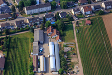 Vue d'oiseau de Ferme biologique Kugelmann à Kandel dans le département Rhénanie-Palatinat, Allemagne