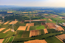 Vue aérienne de Parc éolien à Freckenfeld dans le département Rhénanie-Palatinat, Allemagne