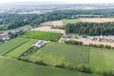 Vue aérienne de Labyrinthe de maïs au Seehof à Steinweiler dans le département Rhénanie-Palatinat, Allemagne