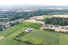 Vue aérienne de Labyrinthe de maïs au Seehof à Steinweiler dans le département Rhénanie-Palatinat, Allemagne
