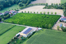 Photographie aérienne de Labyrinthe de maïs au Seehof à Steinweiler dans le département Rhénanie-Palatinat, Allemagne