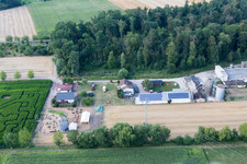 Vue oblique de Labyrinthe de maïs au Seehof à Steinweiler dans le département Rhénanie-Palatinat, Allemagne