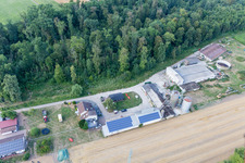 Labyrinthe de maïs au Seehof à Steinweiler dans le département Rhénanie-Palatinat, Allemagne hors des airs