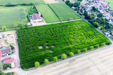 Photographie aérienne de Labyrinthe - labyrinthe dans un champ de maïs du Seehof à Steinweiler dans le département Rhénanie-Palatinat, Allemagne