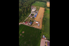 Labyrinthe de maïs, lieu de mariage et salon de plage Seehof à Steinweiler dans le département Rhénanie-Palatinat, Allemagne depuis l'avion