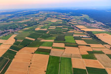 Vue aérienne de Champs entre Dierbach et Schaidt vus de l'ouest à Vollmersweiler dans le département Rhénanie-Palatinat, Allemagne