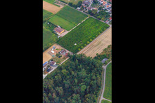 Enregistrement par drone de Labyrinthe de maïs, lieu de mariage et salon de plage Seehof à Steinweiler dans le département Rhénanie-Palatinat, Allemagne