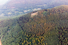 Vue aérienne de Site de décollage des parapentes de Förlenberg à Ranschbach dans le département Rhénanie-Palatinat, Allemagne
