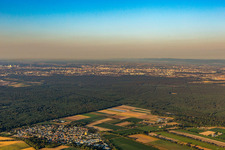 Vue aérienne de Dans la forêt de Viernheim à le quartier Hüttenfeld in Lampertheim dans le département Hesse, Allemagne