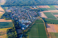Vue aérienne de Vue de la commune en bordure des champs et zones agricoles en Hüttenfeld à le quartier Hüttenfeld in Lampertheim dans le département Hesse, Allemagne