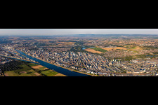 Vue aérienne de Panorama à le quartier BASF in Ludwigshafen am Rhein dans le département Rhénanie-Palatinat, Allemagne