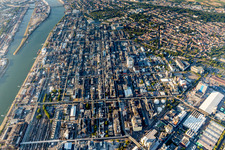 Vue aérienne de Locaux de l'usine du producteur chimique BASF entre le Rhin et le quartier de Friesenheim à le quartier BASF in Ludwigshafen am Rhein dans le département Rhénanie-Palatinat, Allemagne