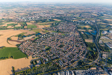 Vue aérienne de Vue de la commune en bordure des champs et zones agricoles en Oppau à le quartier Oppau in Ludwigshafen am Rhein dans le département Rhénanie-Palatinat, Allemagne