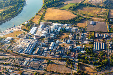 Vue aérienne de ICL Allemagne à le quartier Rheingönheim in Ludwigshafen am Rhein dans le département Rhénanie-Palatinat, Allemagne