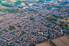 Vue aérienne de Vue d'ensemble de la ville depuis l'ouest à Schifferstadt dans le département Rhénanie-Palatinat, Allemagne