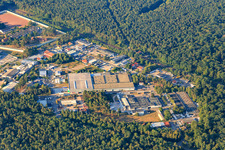 Vue aérienne de Zone industrielle Carl-Benz-Straße avec G. Staehle GmbH & Co. et Türmerleim GmbH à Schifferstadt dans le département Rhénanie-Palatinat, Allemagne