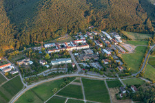 Vue aérienne de Clinique psychiatrique d'État à Klingenmünster dans le département Rhénanie-Palatinat, Allemagne