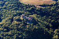 Vue aérienne de Ruines du château de Montfort à Hallgarten dans le département Rhénanie-Palatinat, Allemagne