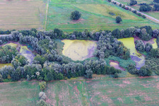 Vue aérienne de Étang avec lentilles d'eau à le quartier Garlstorf in Bleckede dans le département Basse-Saxe, Allemagne