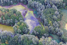 Vue aérienne de Étang avec lentilles d'eau à le quartier Garlstorf in Bleckede dans le département Basse-Saxe, Allemagne