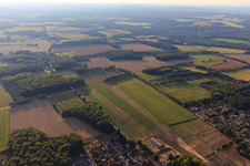 Vue aérienne de Labyrinthe de maïs à Amelinghausen dans le département Basse-Saxe, Allemagne
