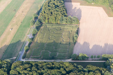 Vue aérienne de Labyrinthe - Labyrinthe dans un champ de maïs à Amelinghausen dans le département Basse-Saxe, Allemagne