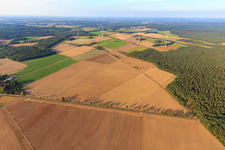 Vue aérienne de Champs et forêts de la lande de Lunebourg à le quartier Wettenbostel in Wriedel dans le département Basse-Saxe, Allemagne