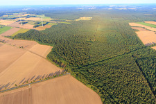 Vue aérienne de Champs et forêts de la lande de Lunebourg à le quartier Wettenbostel in Wriedel dans le département Basse-Saxe, Allemagne