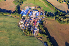 Vue aérienne de Milchland Agrar - GmbH Greven à le quartier Greven bei Boizenburg in Greven dans le département Mecklembourg-Poméranie occidentale, Allemagne