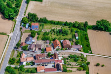 Vue aérienne de Welschhof de l'ouest à Minfeld dans le département Rhénanie-Palatinat, Allemagne