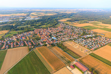 Vue aérienne de Agrandissement de la nouvelle zone de développement Brotäcker à Steinweiler dans le département Rhénanie-Palatinat, Allemagne