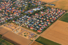 Photographie aérienne de Agrandissement de la nouvelle zone de développement Brotäcker à Steinweiler dans le département Rhénanie-Palatinat, Allemagne